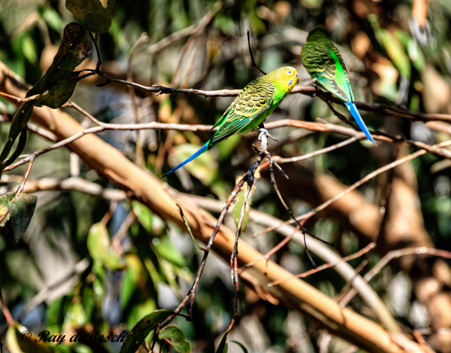 IMG_1507-Edit.jpg