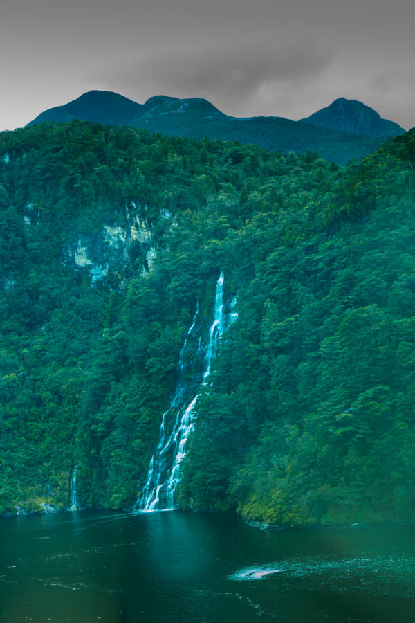 At Milford Sound, IMG_0964-Edit-Edit.jpg