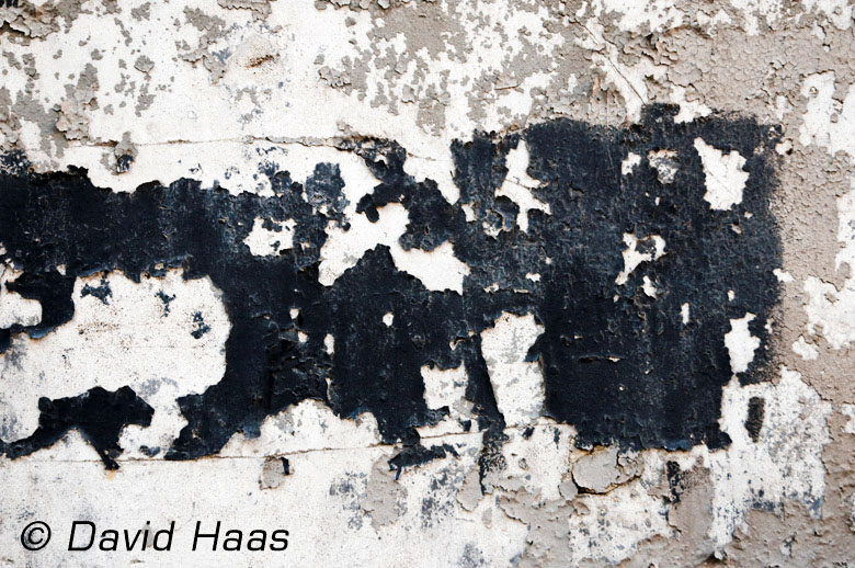 Haas_Sicily_39_neu.jpg