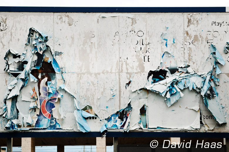 Haas_Sicily_44_neu.jpg