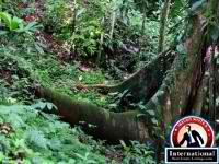 La Fortuna de San Carlos, Alajuela, Costa Rica Lots Land  For Sale - Rainforest Rivers Wildlife and a Volcano