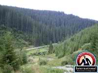 Borsec, Harghita, Romania Lots Land  For Sale - 24,7 Acres of Land and Forest