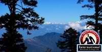Thimphu, Thimphu, Bhutan Lots Land  For Sale - Tading Real Estate Enterprise