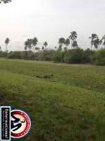 Lagos, Lagos, Nigeria Lots Land For Sale - Affordable  Land for Scale