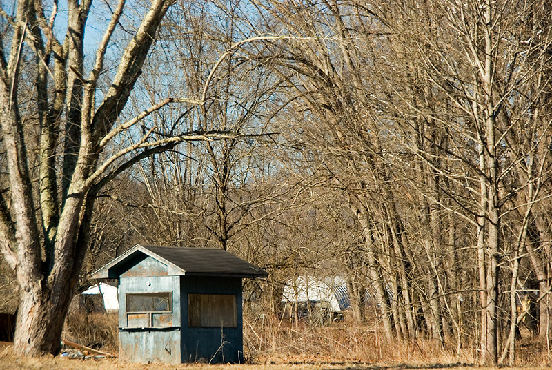 Clover Bottom Late Winter
