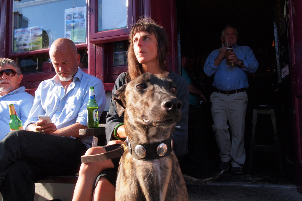 greyhound, Cork, IRELAND