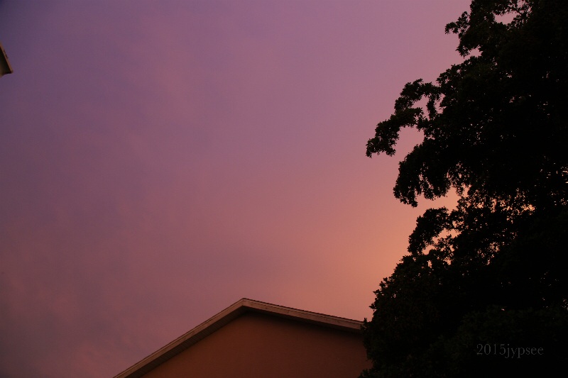 pink summer sky 