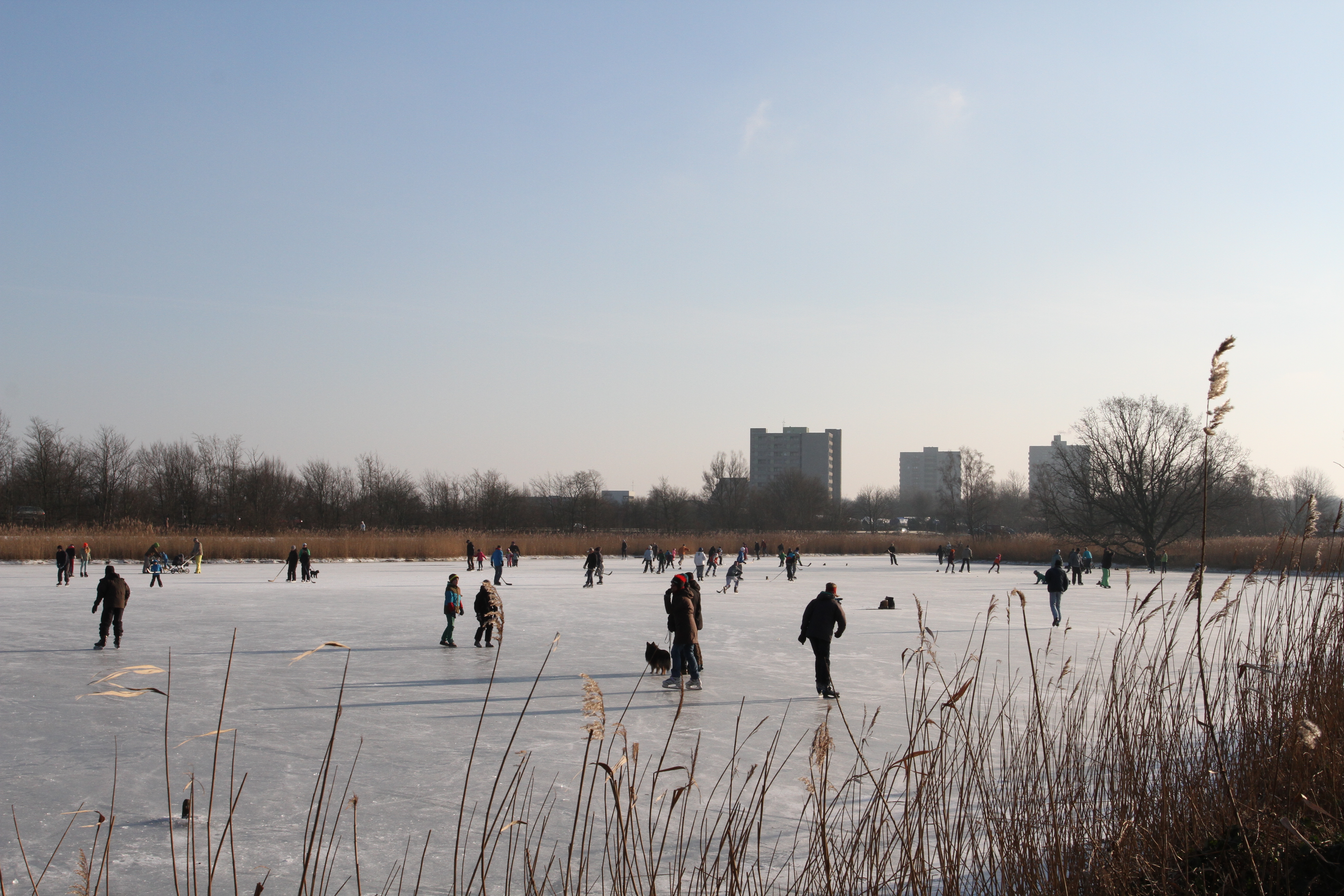IMG_5672.JPG