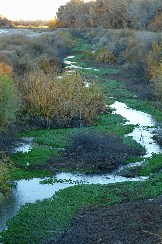 Irrigation Ditch at Sunset (1988)