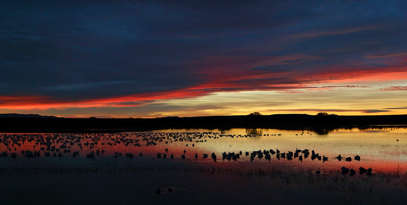 Sunrise from the Flight Deck (2069)