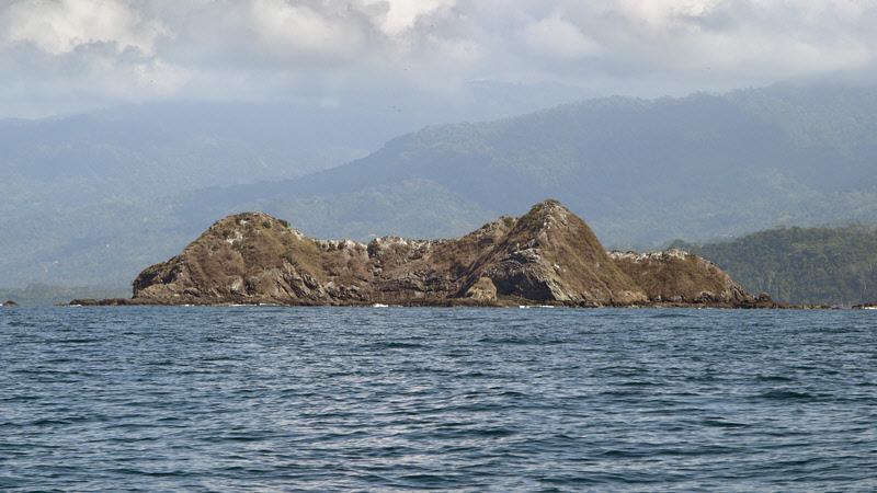 Whale Island from the Water (4976B)