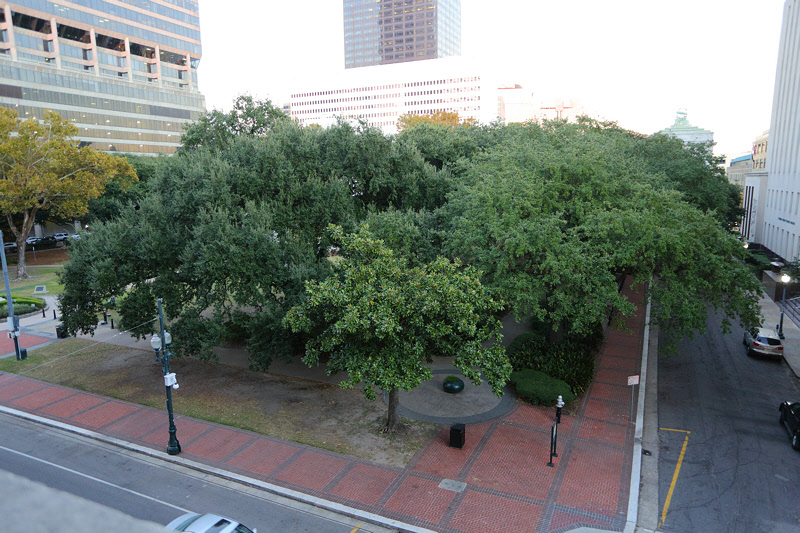 Jackson Square from above (9297)