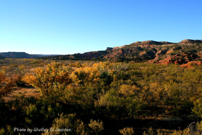 Canyon In Fall.jpg