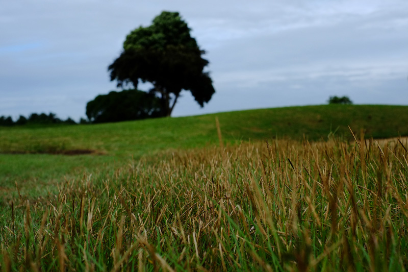 Golf Balls View