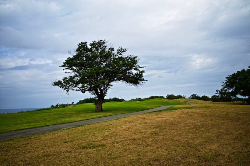 La Union