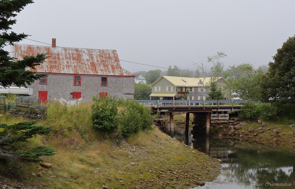 Seal Cove2 6652.jpg