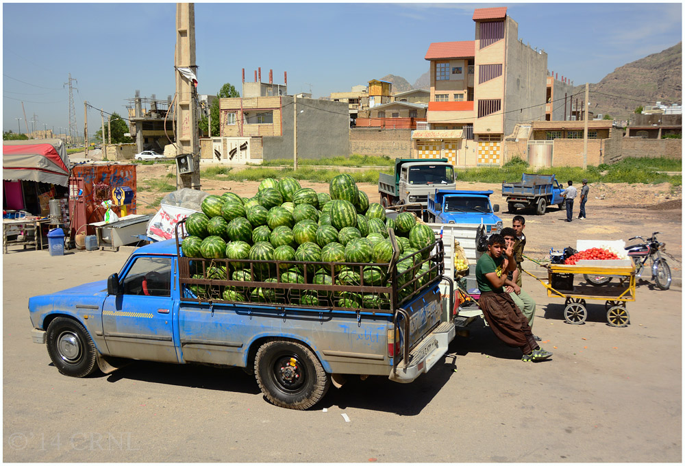 melons for sale