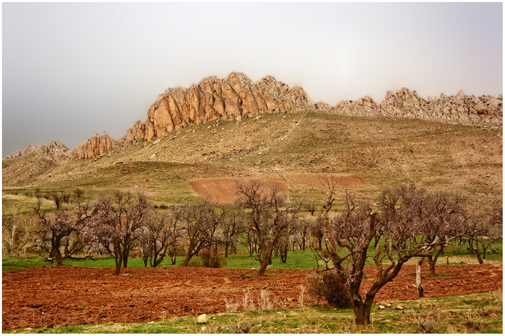 Zagros Mountains / رشته كوه زاگرس 