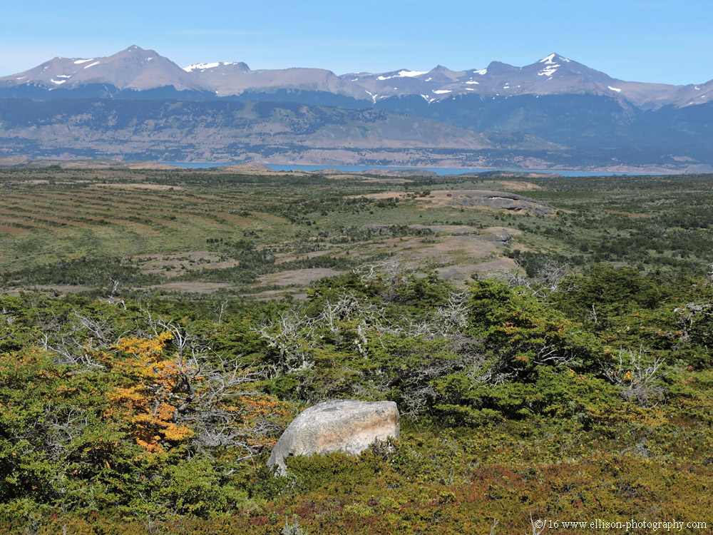 Torres del Paine