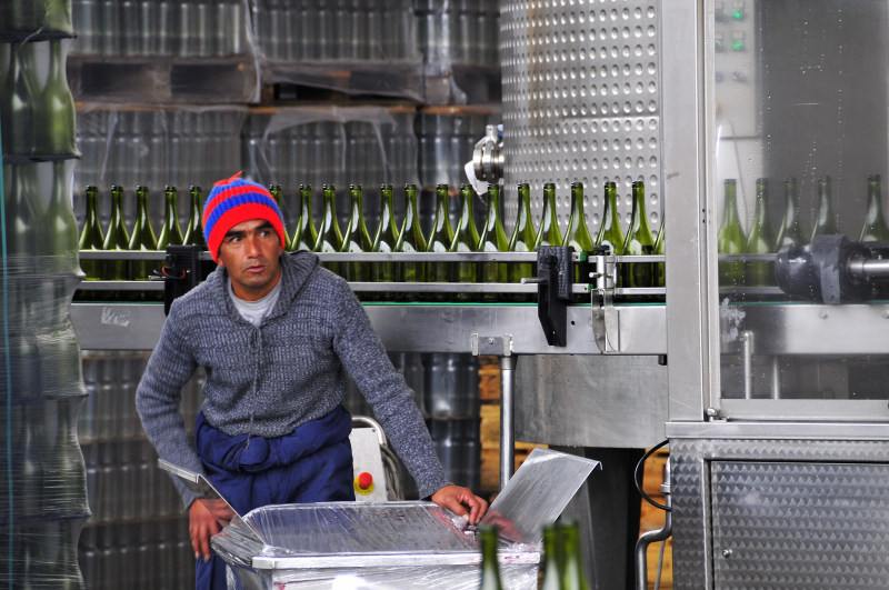 Winery worker