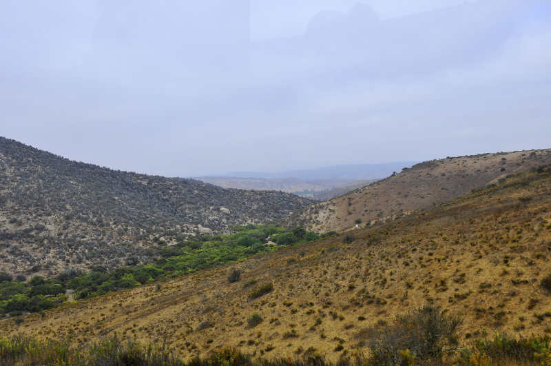 Arid areas
