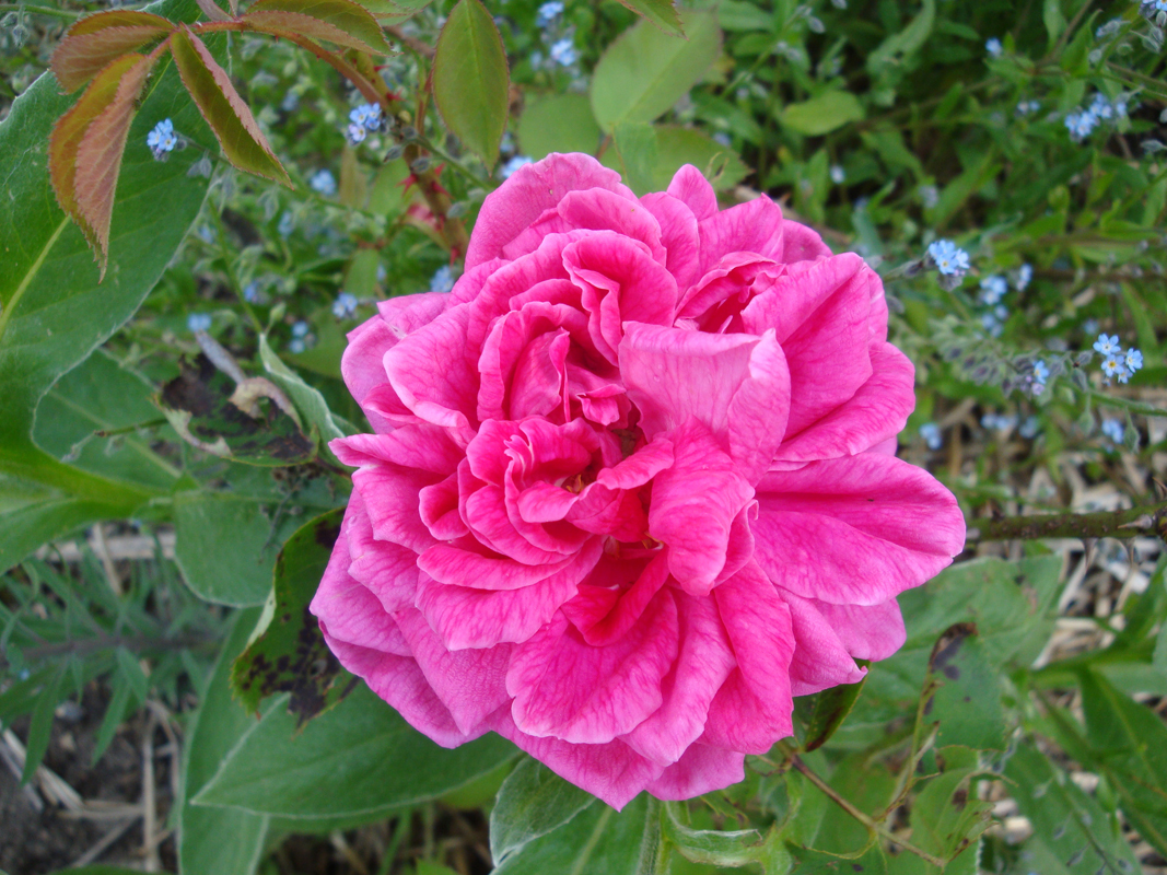 DSC09725.JPG