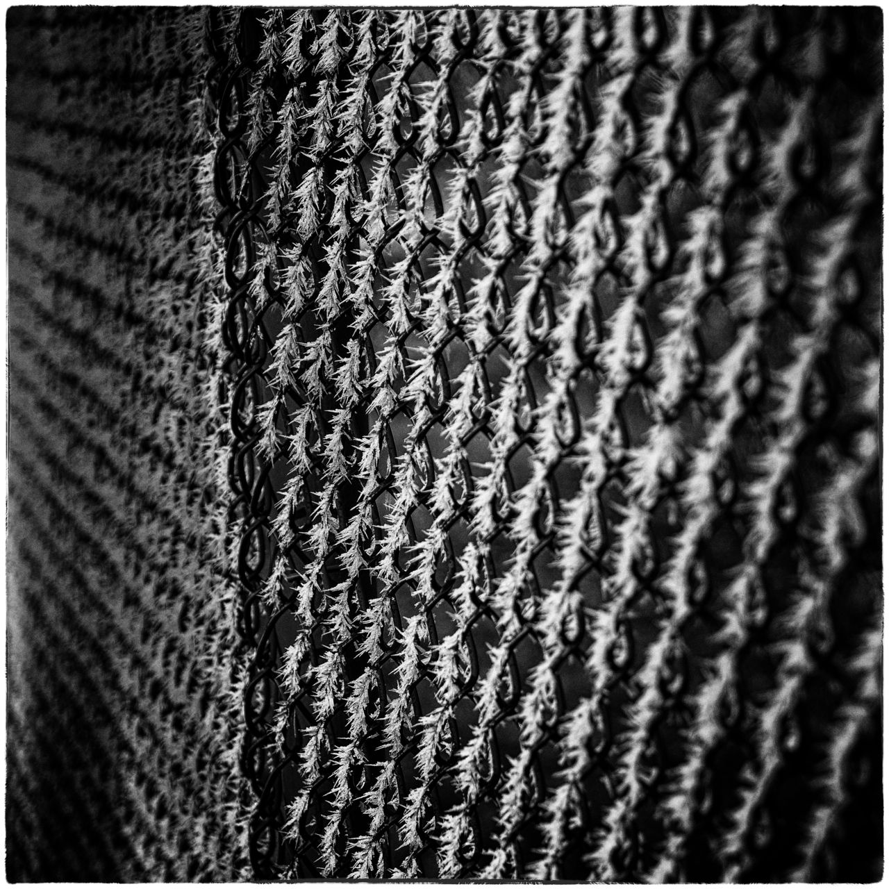 frosted fence1