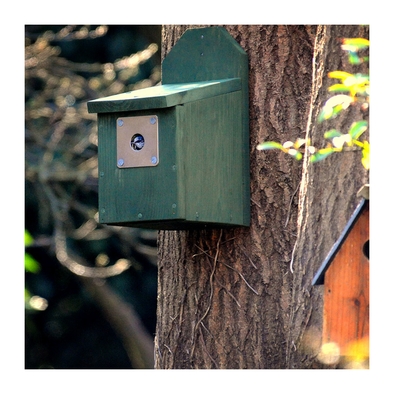 New nest boxes