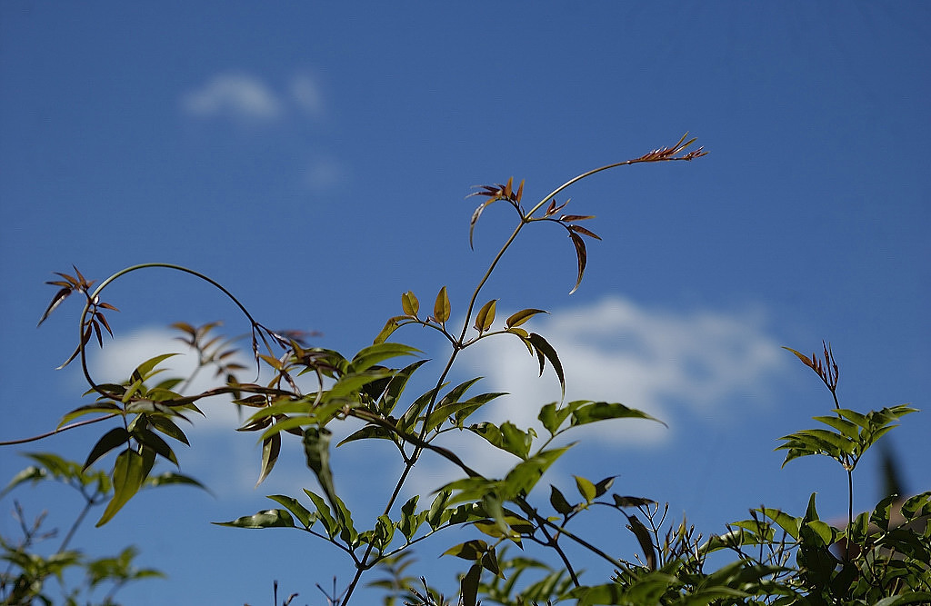 Fragile...