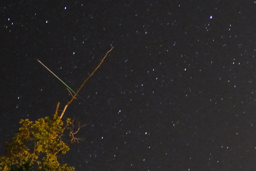 Perseid Meteor