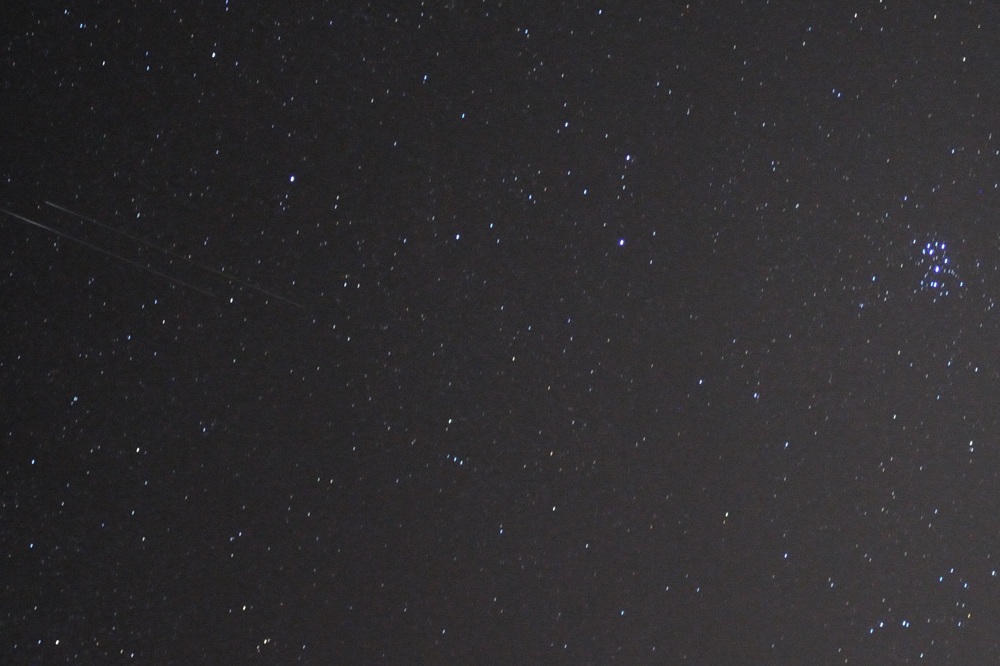 Perseid Meteor