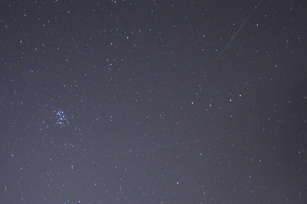 Perseid Meteor