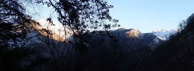 P1031298.jpg