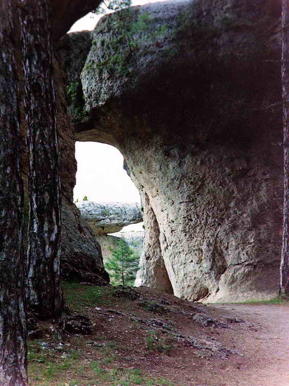 P2032226.JPG