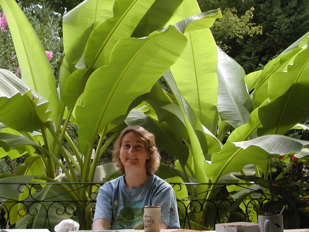 6 sept 2003 - Jennie dans les bananiers barnais