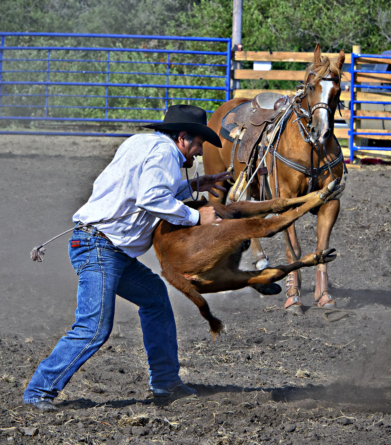 _DSC9199pb.jpg