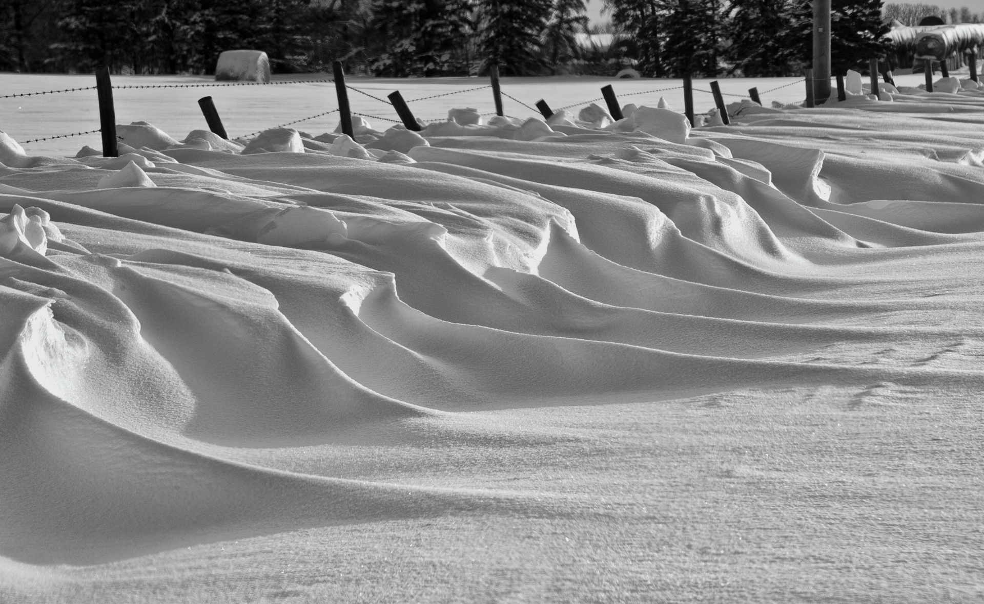 _SDP7985gf.jpg Drifting Snow From the East