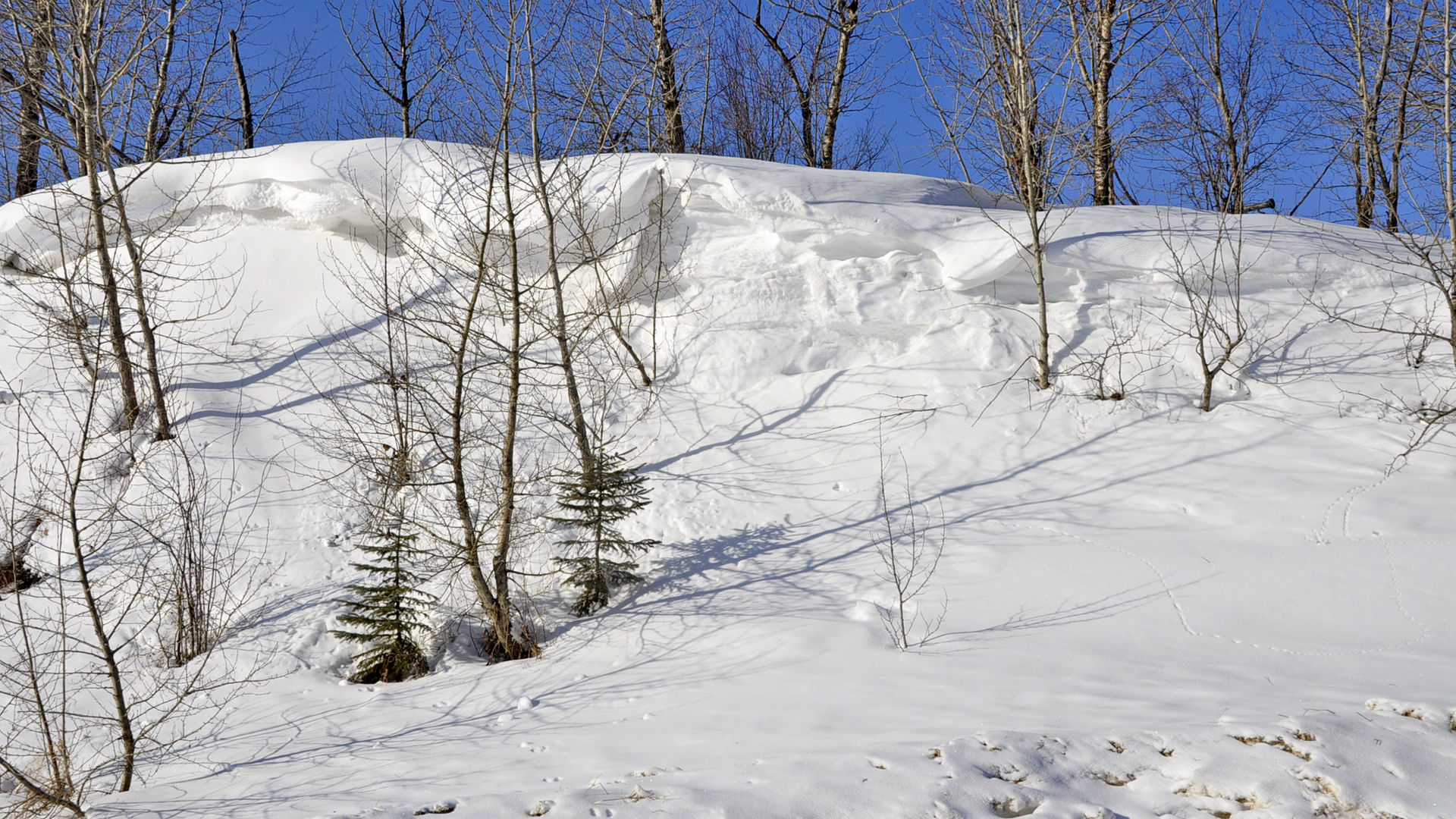 _DSC0011jp.jpg  Snow Drifts on the Prairies