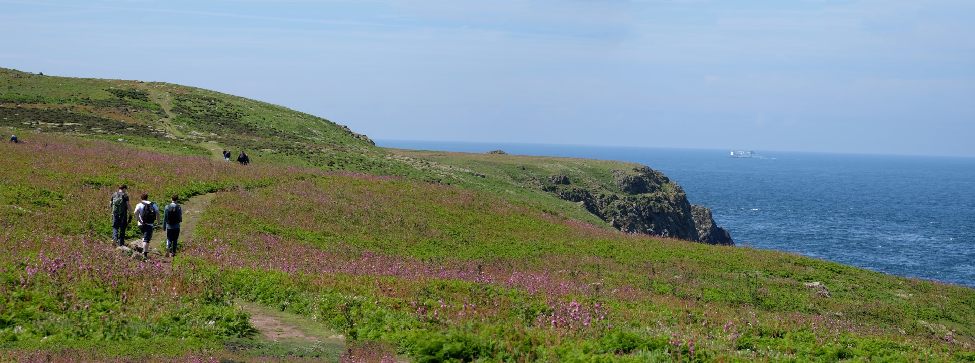 Skomer_Panorama1.jpg
