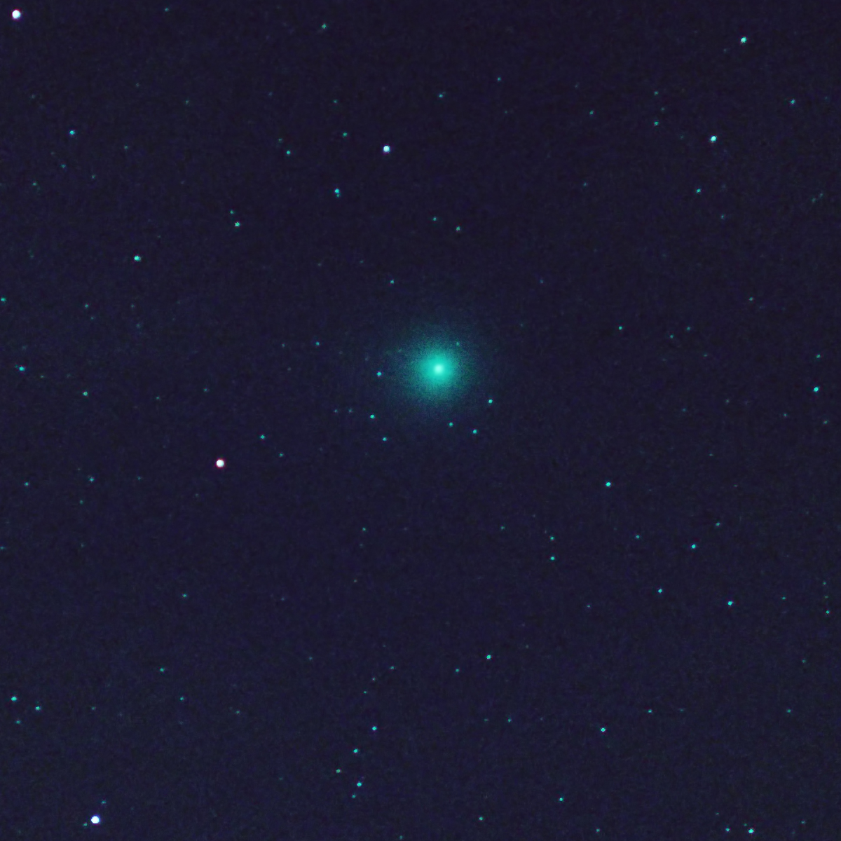 Comet C/2014 Q2 (Lovejoy) 