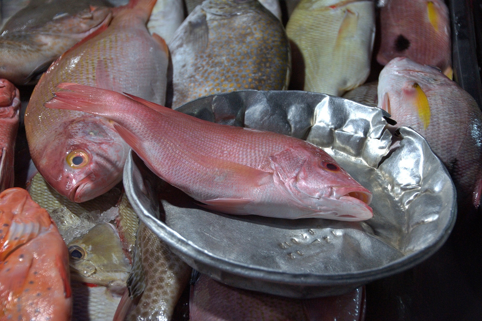 Before cooking...