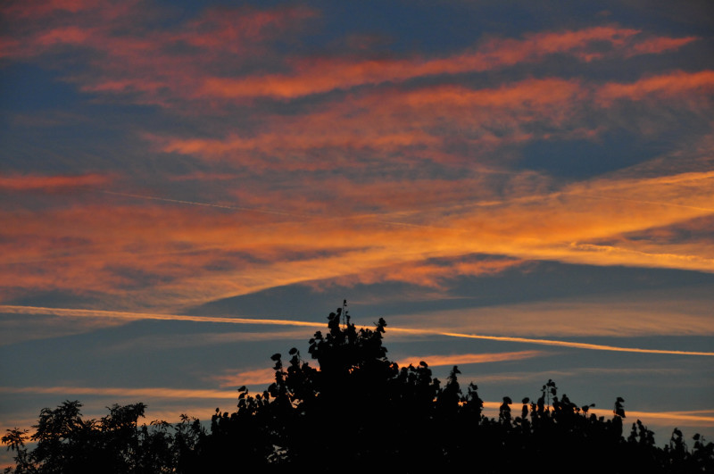 From our window this morning (October 6, 2014)