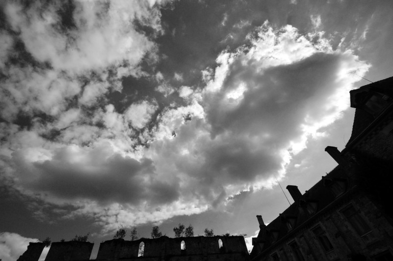 Looking up at the abbey