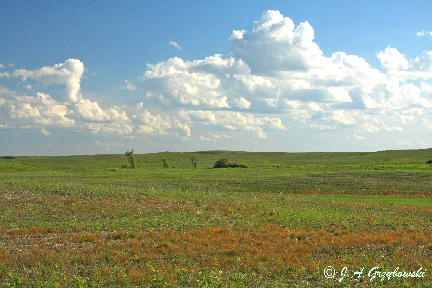 Prairie scape--Ferruginous Hawk country