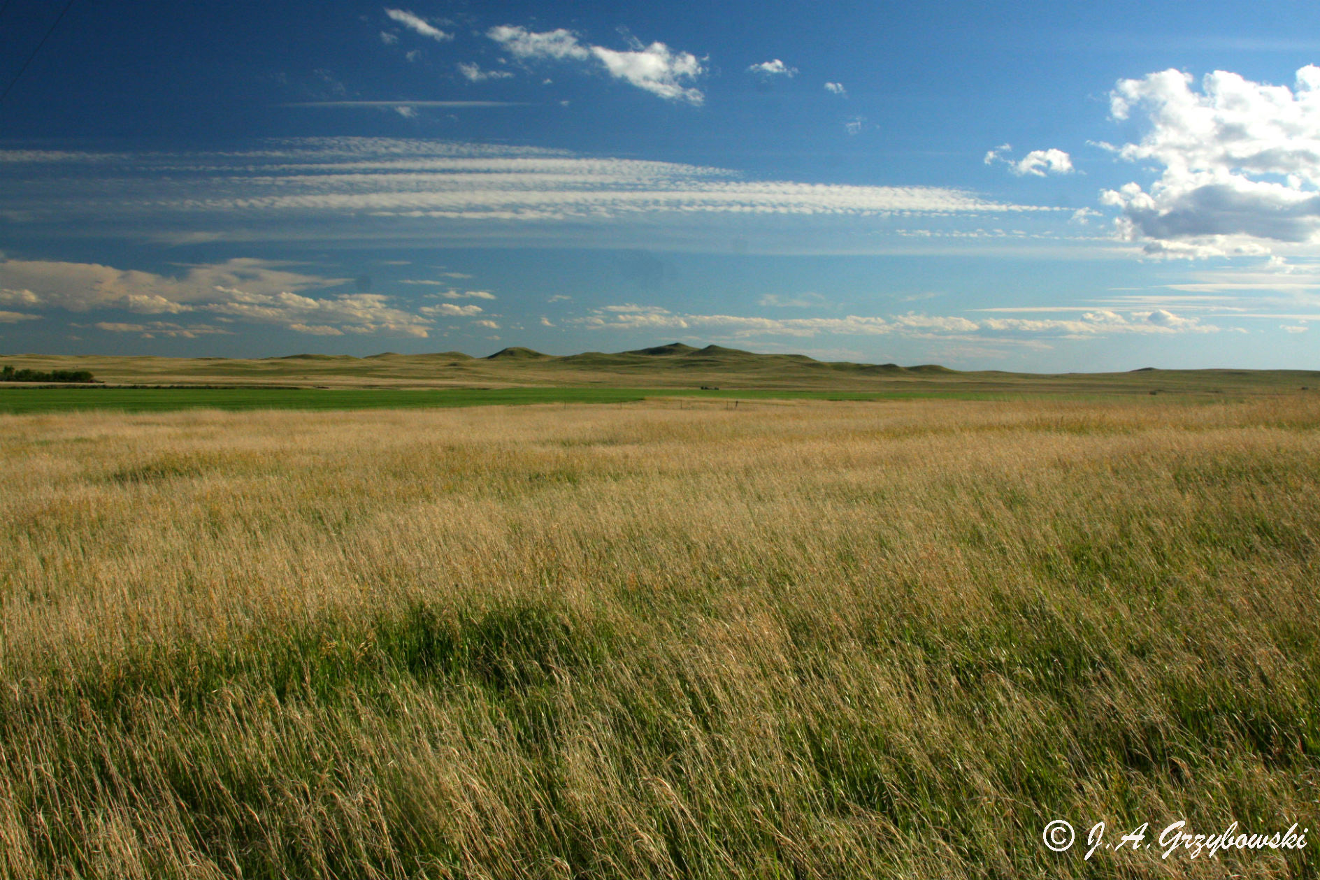 Bowman County, sw ND