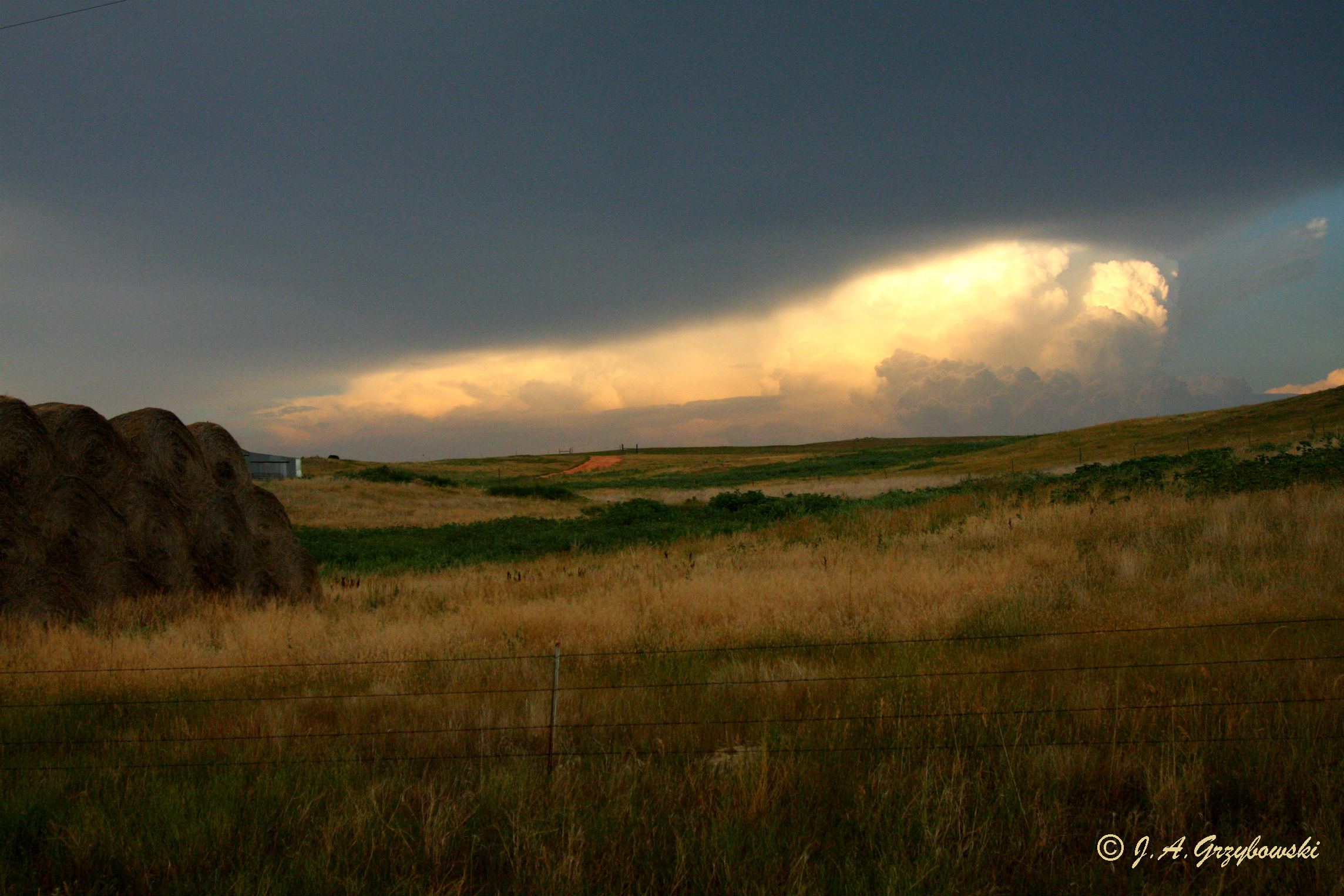 Prairie scene