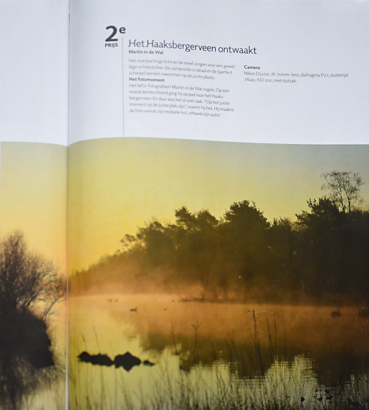 Publicatie / Publication in Roots Magazine