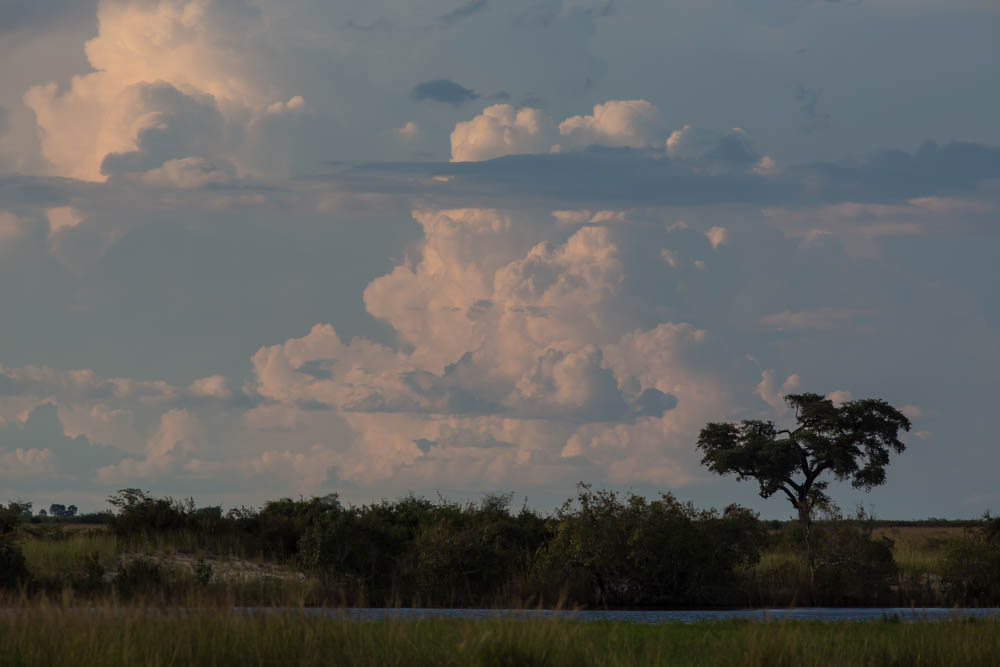 Chobe,Botswana