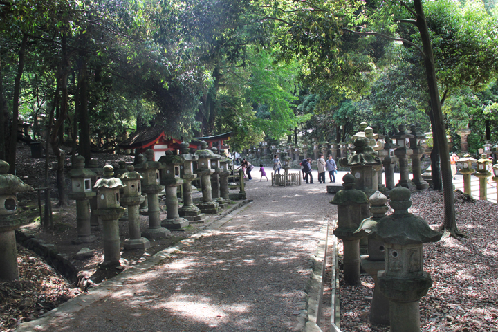 Stone lanterns on the inner path to Kasuga Taisha (a Shinto shrine) in Nara Park - a few bronze lanterns are on the right side