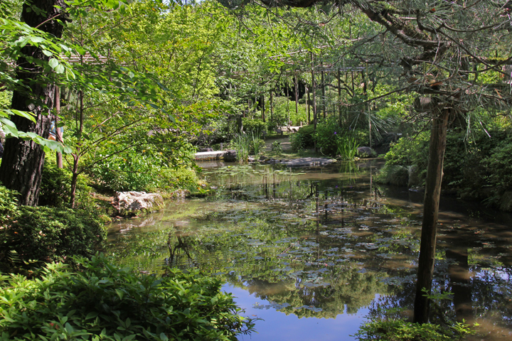 Pond and garden at the Heian-jingu Shrine in Kyoto